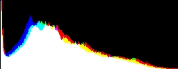 Histogram